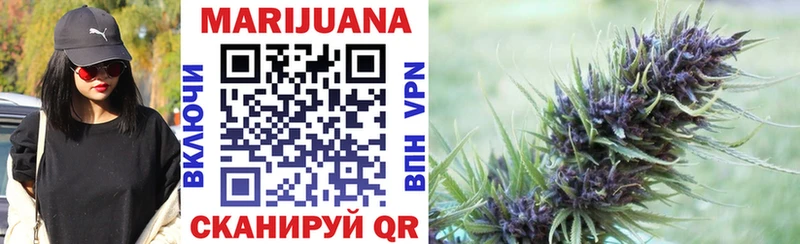 OMG вход  Новосибирск  Конопля план 